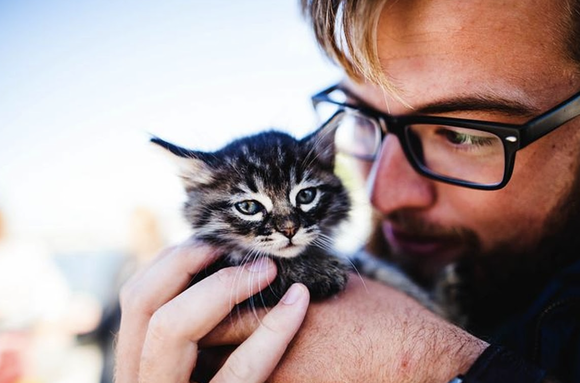 PurrFect Presents for the New Cat Owner in Your Life Fauna Care